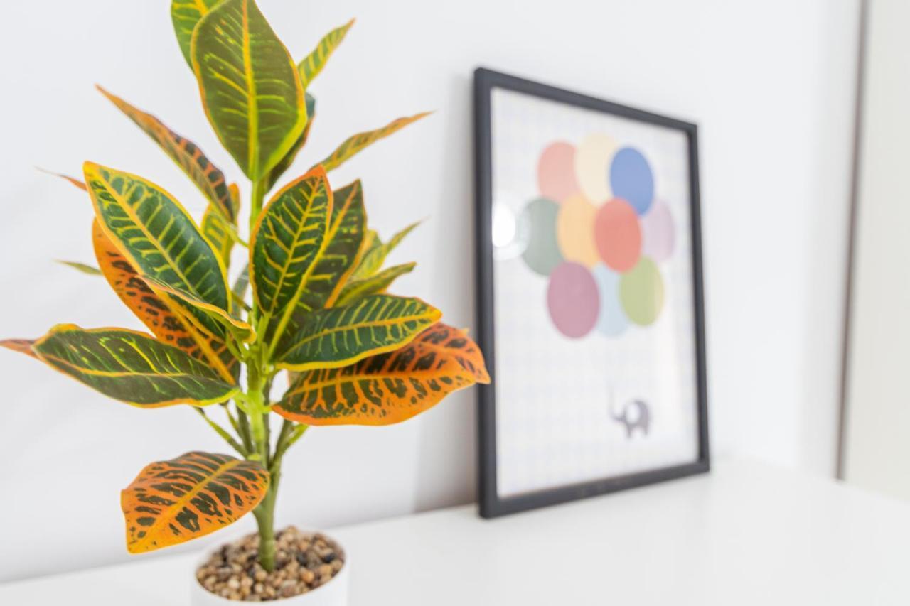 Apartamento Cadiz Be Kind Dış mekan fotoğraf